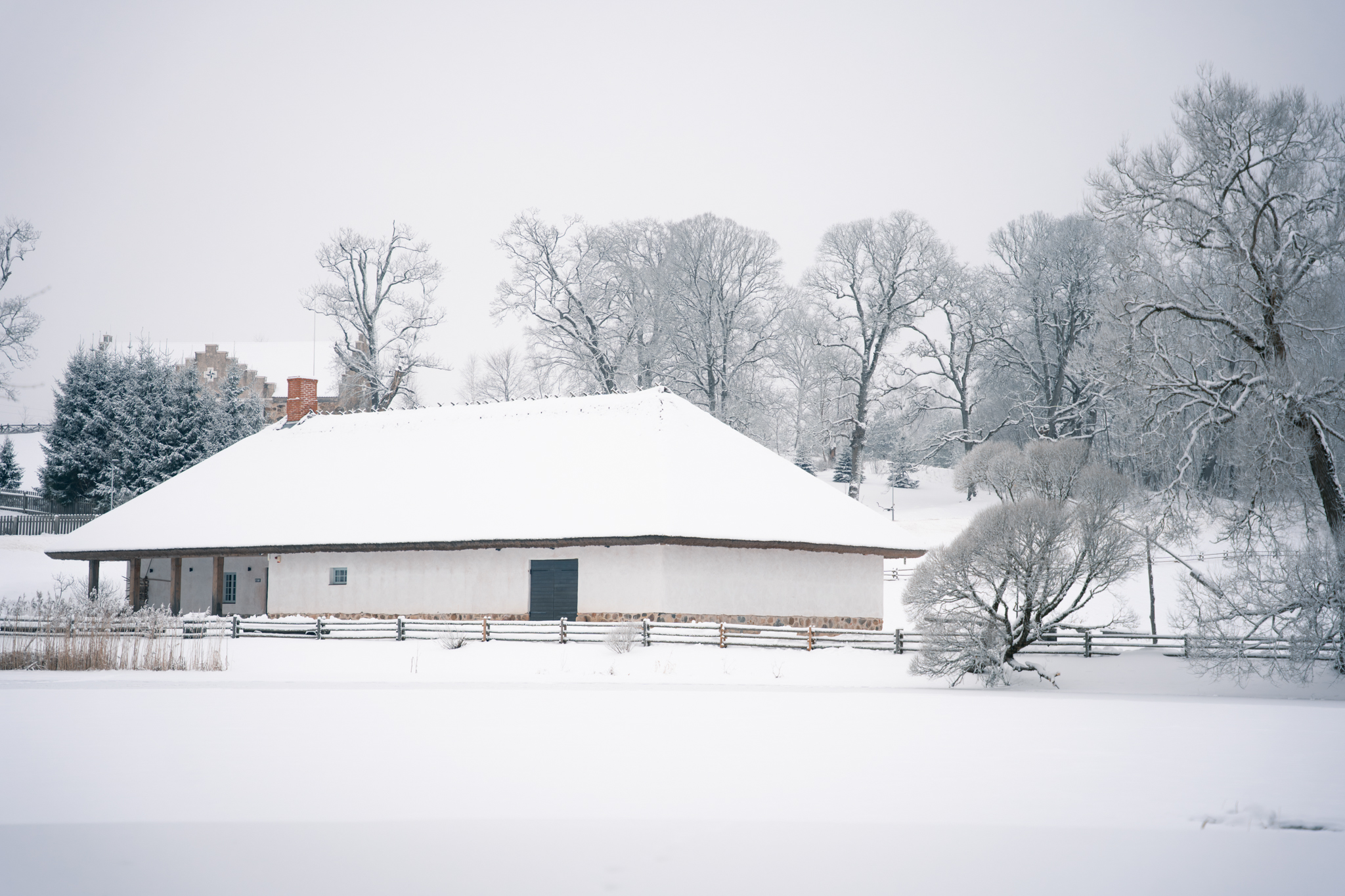 What to do in the Turaida Museum Reserve in winter!