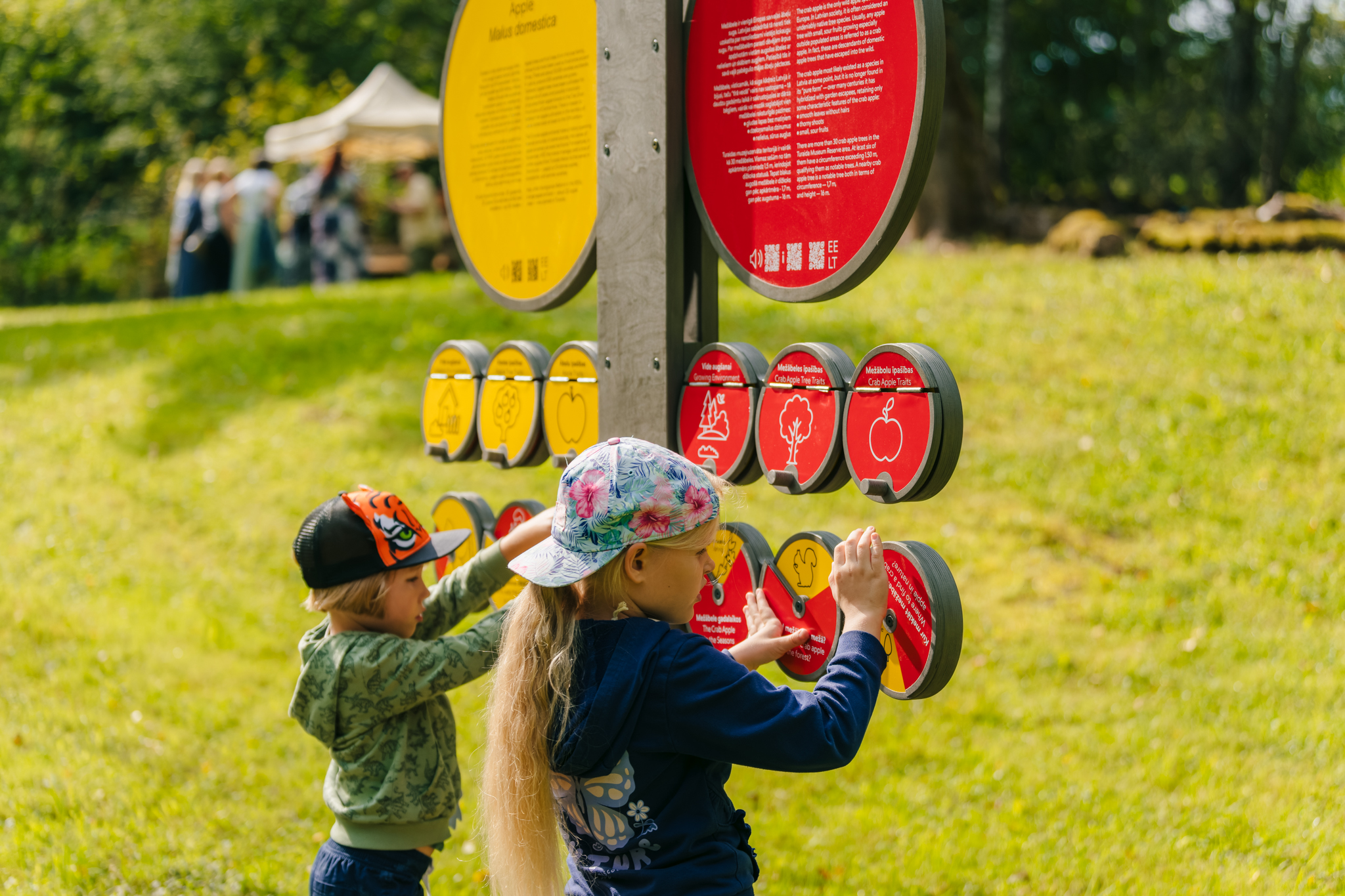 Open-air exhibition “Nature’s Pearls” in Turaida Forest Park