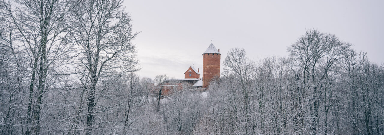 Turaidas tornis ziemā