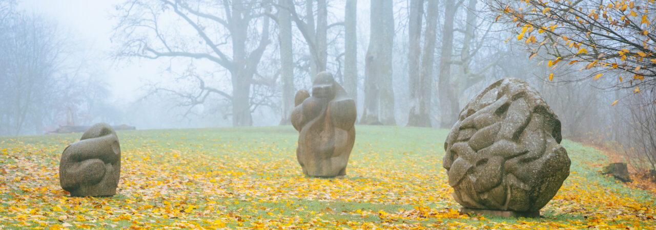 Ainava, skulptūras, migla, pēdējās lapas-23