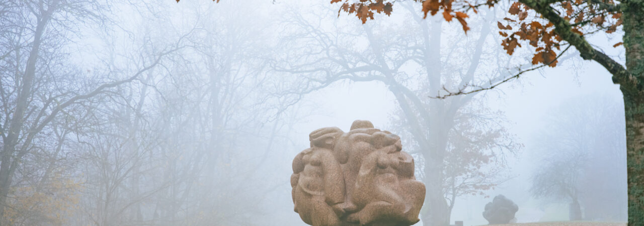 Ainava, skulptūras, migla, pēdējās lapas-29