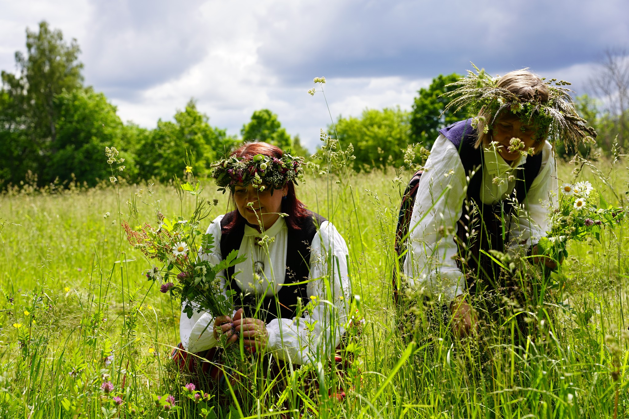 Brīvprātīgie Turaidā atjaunos pļaujas tradīcijas